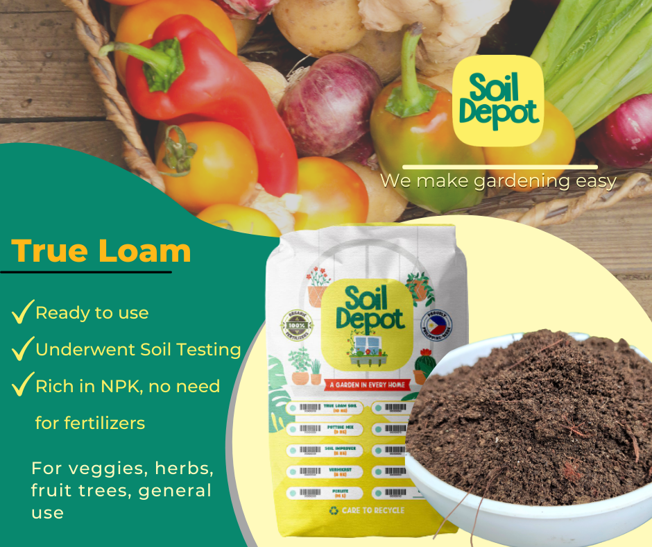 Start a Sustainable Vegetable Garden with True Loam