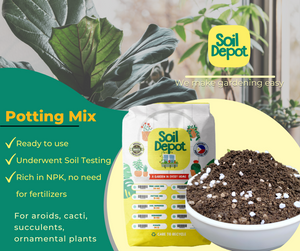 How to be a worry-free Plant Parent with Soil Depot Potting Mix