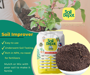 Fertilize Poor Soil the Organic Way with Soil Depot Soil Improver