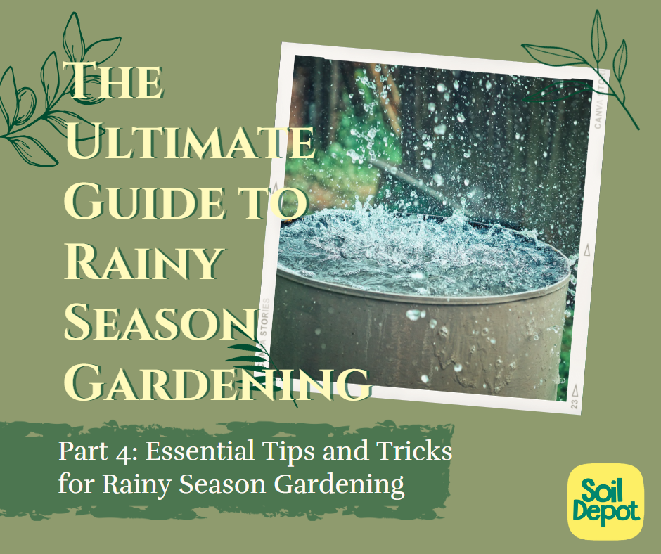 The Ultimate Guide to Rainy Season Gardening: Part 4 – Essential Tips and Tricks for Rainy Season Gardening