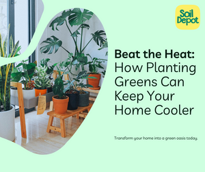 Beat the Heat: How Planting Greens Can Keep Your Home Cooler