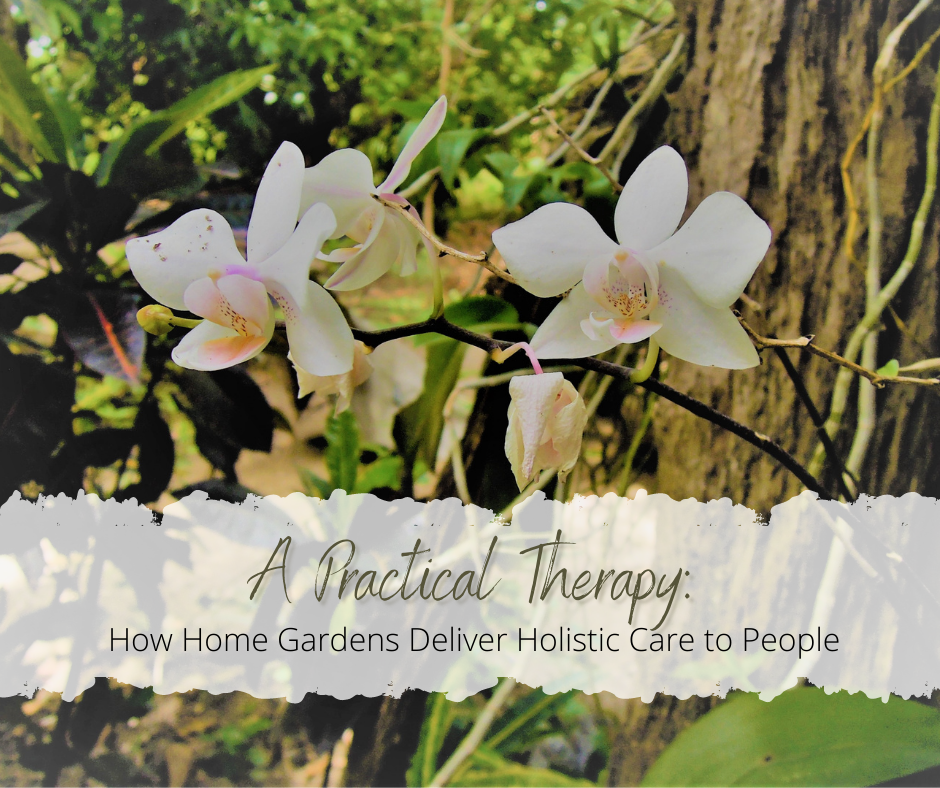 A Practical Therapy: How Home Gardens Deliver Holistic Care to People