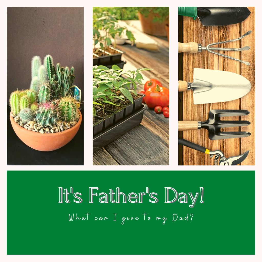 It's Father's Day! What can I give to my Dad?