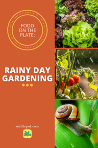 Rainy Day Gardening