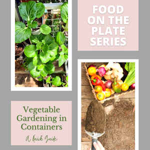 Vegetable Gardening in Containers