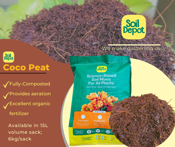 Coco Peat