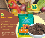 01 Soil Depot True Loam