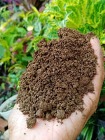 Plain Soil (Unamended)