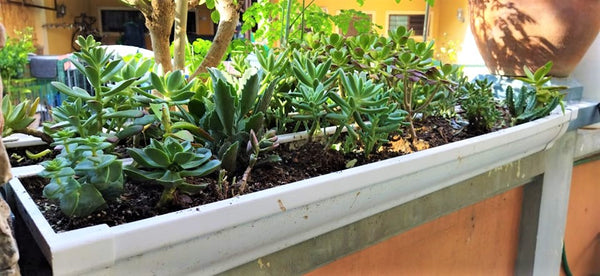 Bar Planter